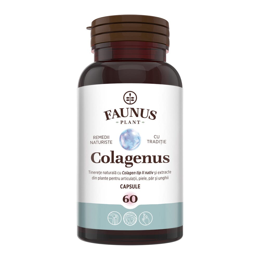 Colagenus Capsule, 60 capsule - Formă concentrată de Colagen tip II, acid hialuronic și plante medicinale pentru reducerea durerilor articulare, creșterea rezistenței articulațiilor, îmbunătățirea flexibilității, redarea elasticității pielii Cosmetics Faunus Plant 