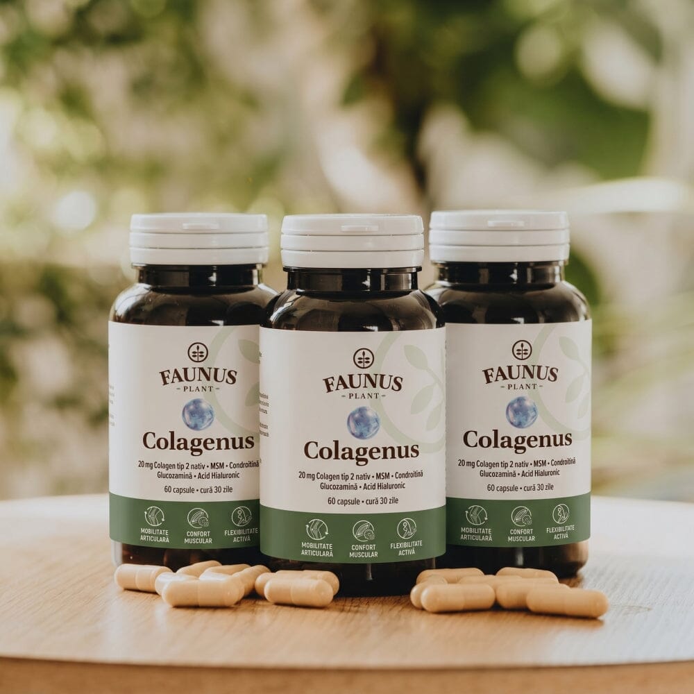 Colagenus Capsule - Colagen concentrat tip II, acid hialuronic și plante medicinale. Dureri articulare, rezistență articulații, flexibilitate - 60 Capsule Supliment alimentar Faunus Plant