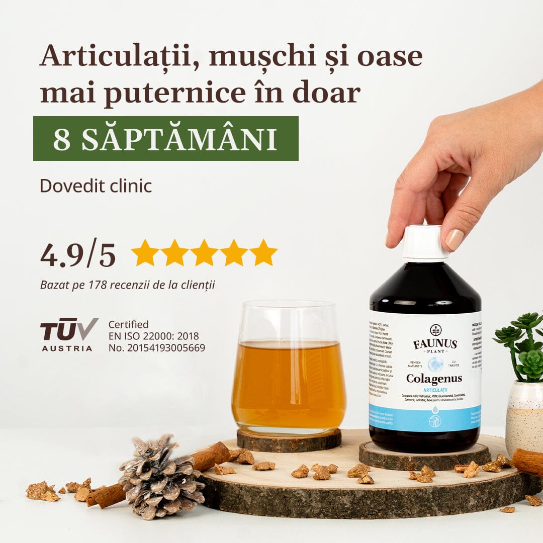 Mână de femeie deschizând sticla Colagenus Articulații de la Faunus Plant, lângă un pahar cu lichid portocaliu și con de brad, plasate pe o tavă în formă de scoarță de brad. Textul menționează îmbunătățirea articulațiilor, mușchilor și oaselor în 8 săptămâni, scor 4.9/5 din 178 recenzii și certificare TÜV Austria.