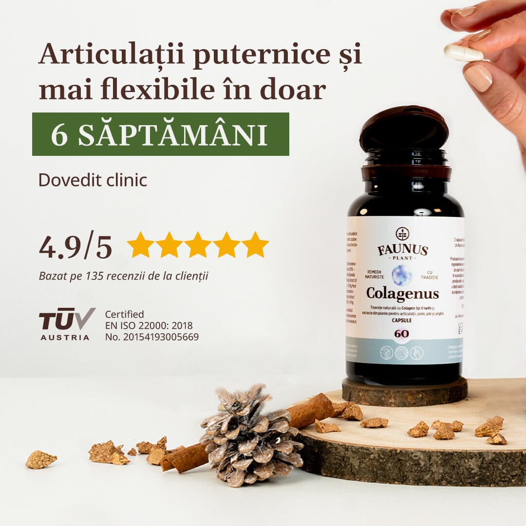 Flacon Colagenus Capsule de la Faunus Plant, cu capacul deschis, în timp ce o mână ține o capsulă. Textul menționează eficiența clinic dovedită în 6 săptămâni pentru articulații mai puternice și flexibile, cu rating 4,9 din 5 stele, bazat pe 135 de recenzii. Logo-ul TUV Austria și certificarea EN ISO 22000:2018 sunt vizibile în partea din stânga.