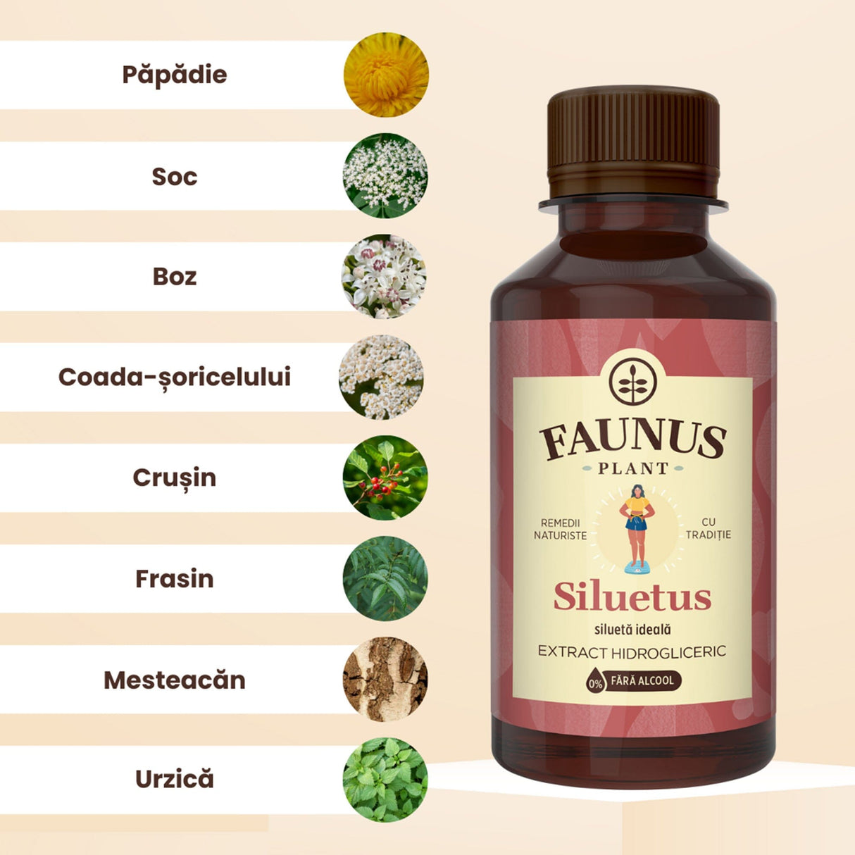 Lista ingredientelor principale ale Tincturii Siluetus, inclusiv păpădie, soc, boz, coada-șoricelului, crușin, frasin, mesteacăn și urzică, în chenar alb alături de câte o imagine reprezentativă, având în partea dreaptă flaconul de loțiune.