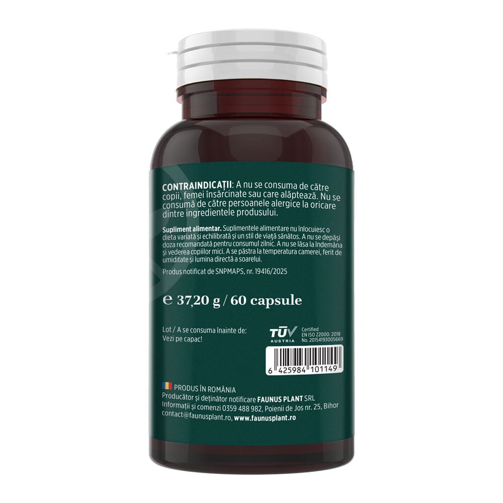 Quercetină 500mg – Antioxidant natural pentru susținerea imunității, echilibru inflamator și confort respirator sezonier. Flacon 60 capsule Supliment alimentar Faunus Plant