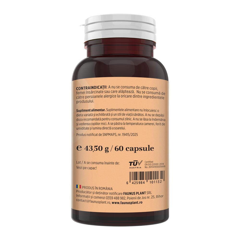 Turmeric cu Piperină – Antioxidant natural pentru articulații sănătoase, echilibru digestiv și susținerea ficatului. Flacon 60 capsule Supliment alimentar Faunus Plant