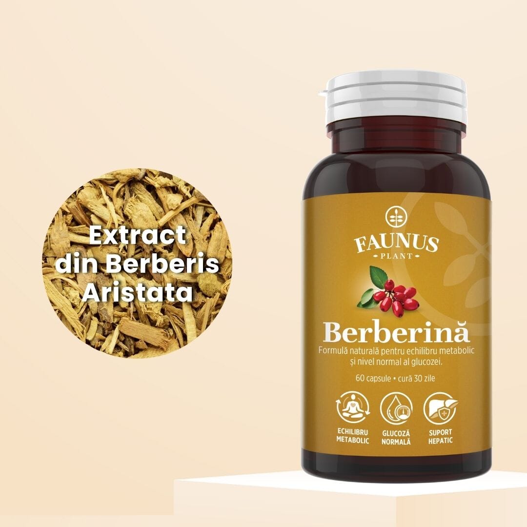 Flacon Berberină fotografiat din față, având alături ingredientul principal într-o fotografie tip medalion și denumire: extract de Berberis aristata.