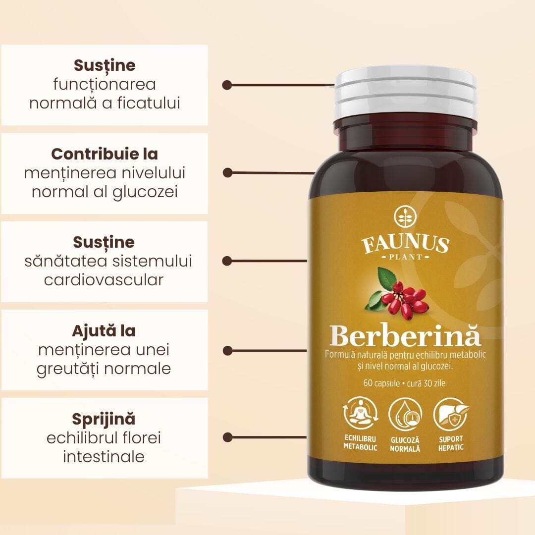 Flacon capsule Berberină de la Faunus Plant fotografiat din față, având alături câteva beneficii cheie încadrate în câte un chenar: funcționarea normală a ficatului, menținerea nivelului normal al glucozei, sănătate sistem cardiovascular, greutate normală, echilibrul florei intestinale.