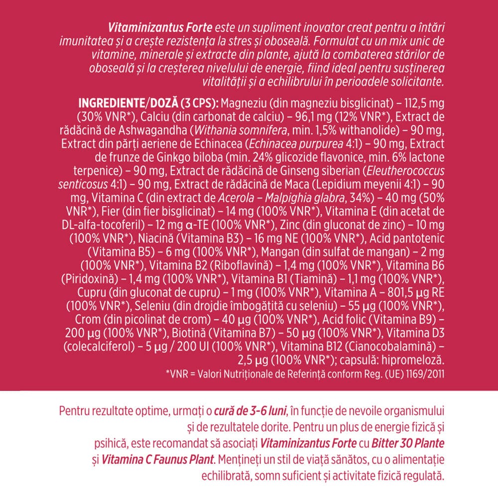 Vitaminizantus Forte - Capsule cu multivitamine și minerale de calitate. Echilibru, energie și vitalitate pentru o viață activă și solicitantă. Flacon 90 capsule Supliment alimentar Faunus Plant
