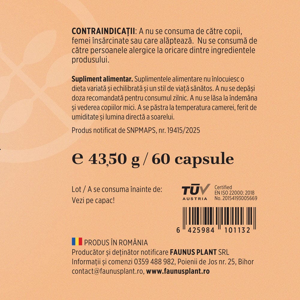 Turmeric cu Piperină – Antioxidant natural pentru articulații sănătoase, echilibru digestiv și susținerea ficatului. Flacon 60 capsule Supliment alimentar Faunus Plant