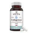 Colagenus Capsule - Colagen concentrat tip II, acid hialuronic și plante medicinale. Dureri articulare, rezistență articulații, flexibilitate - 60 Capsule Supliment alimentar Faunus Plant