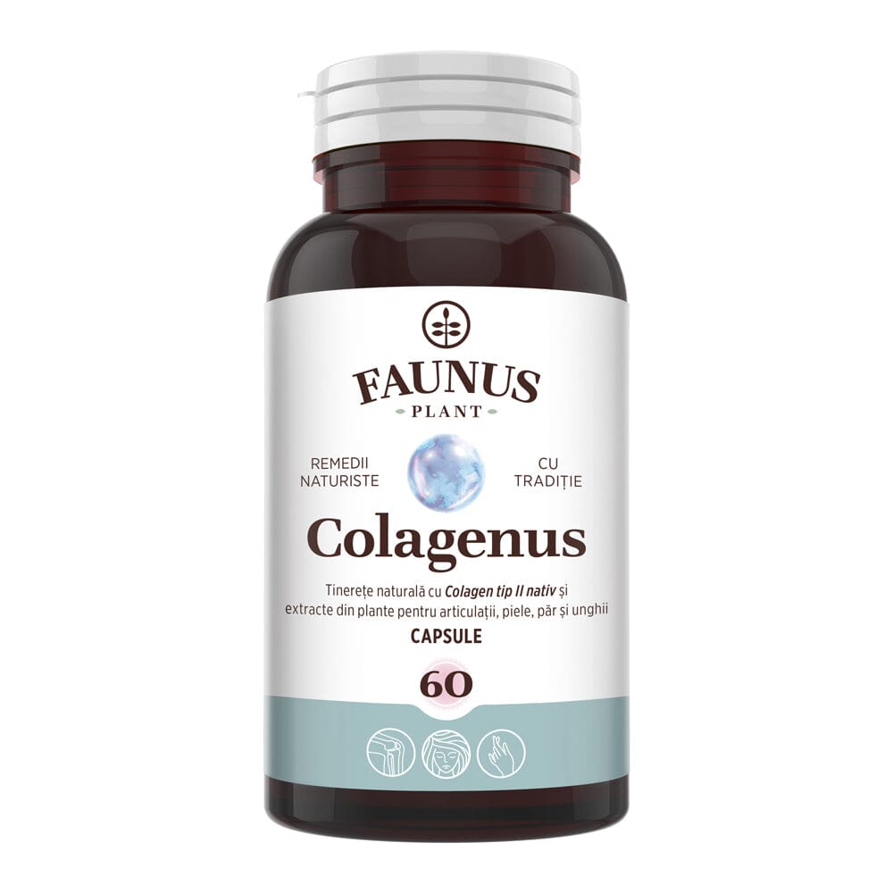 Colagenus Capsule - Colagen concentrat tip II, acid hialuronic și plante medicinale. Dureri articulare, rezistență articulații, flexibilitate - 60 Capsule Supliment alimentar Faunus Plant