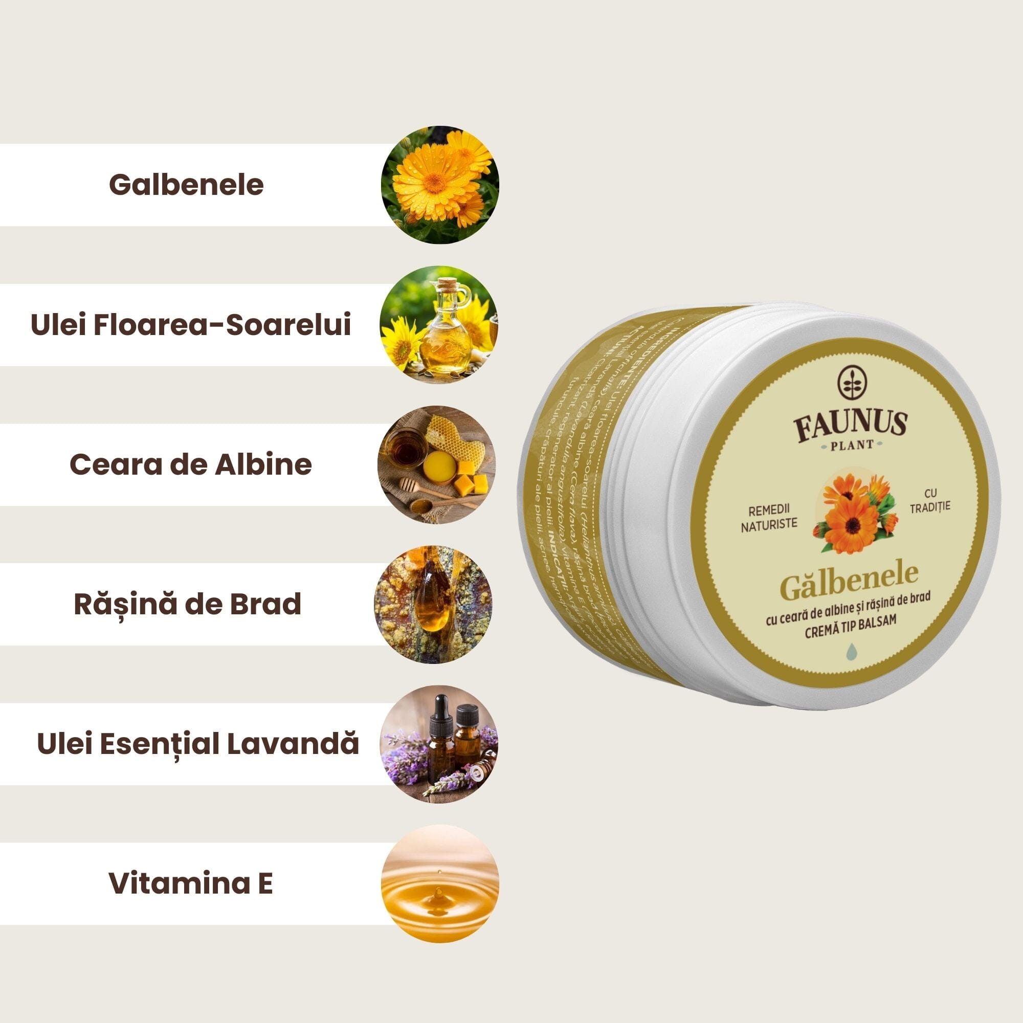 Grafică explicativă cu ingredientele unguentului Gălbenele 50 ml de la Faunus Plant: ulei de floarea-soarelui, gălbenele, ceară de albine, rășină de brad, ulei esențial de lavandă, vitamina E. Fiecare ingredient este însoțit de o imagine ilustrativă.