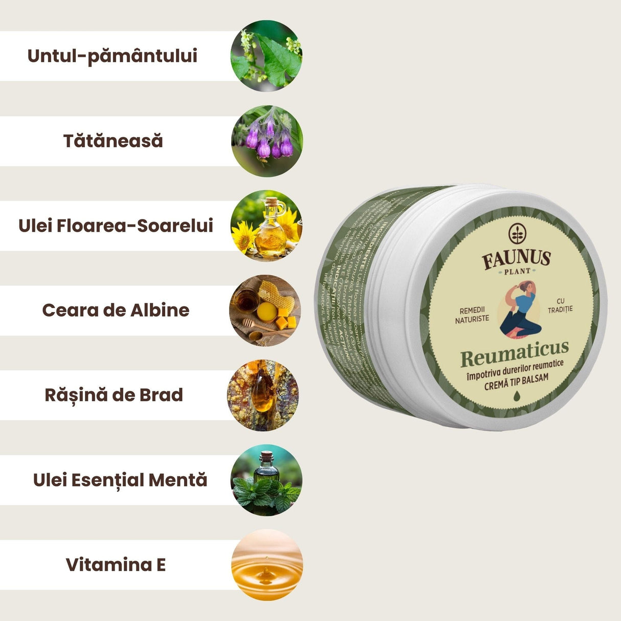 Imagine grafică cu ingredientele principale ale Unguentului Reumaticus 50 ml de la Faunus Plant, incluzând Untul -pământului, Tătăneasă, Ulei Floarea-Soarelului, Ceară de albine, rășină de brad, Ulei esențial de mentă, respectiv Vitamina E.