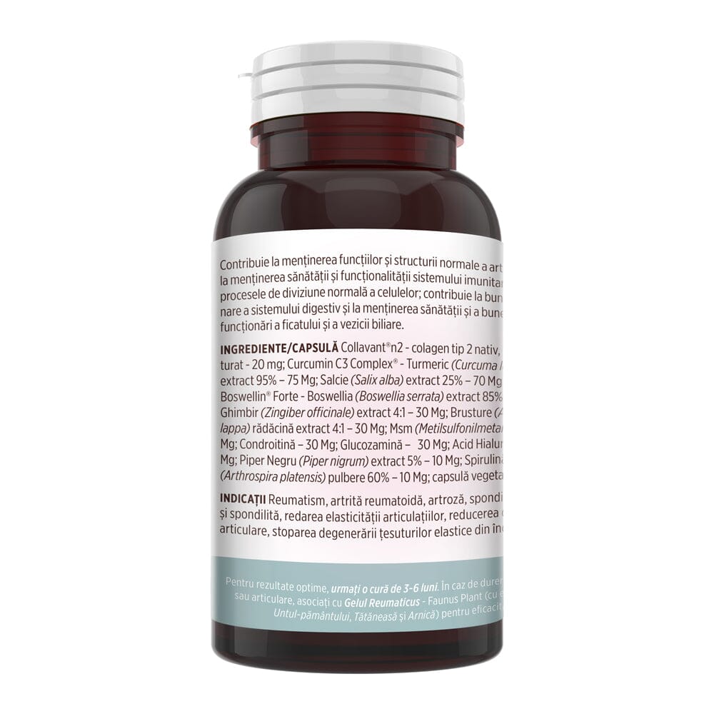 Colagenus Capsule - Colagen concentrat tip II, acid hialuronic și plante medicinale. Dureri articulare, rezistență articulații, flexibilitate - 60 Capsule Supliment alimentar Faunus Plant