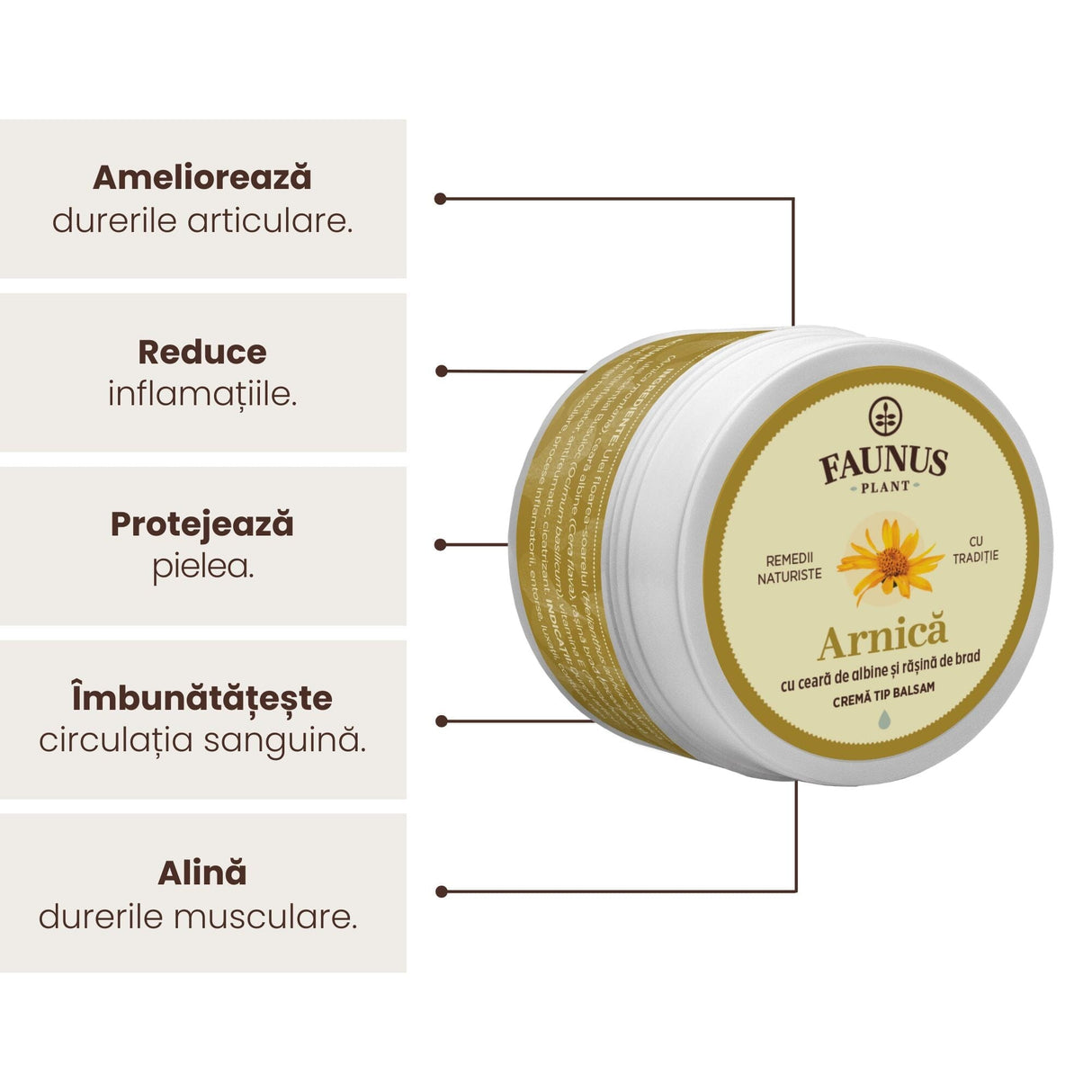 Grafică explicativă pentru beneficiile Unguentului Arnica 50ml de la Faunus Plant. Textul subliniază: ameliorarea durerilor articulare, reducerea inflamațiilor, protejarea pielii, îmbunătățirea circulației sanguine și alinarea durerilor musculare. Imaginea produsului este poziționată central.