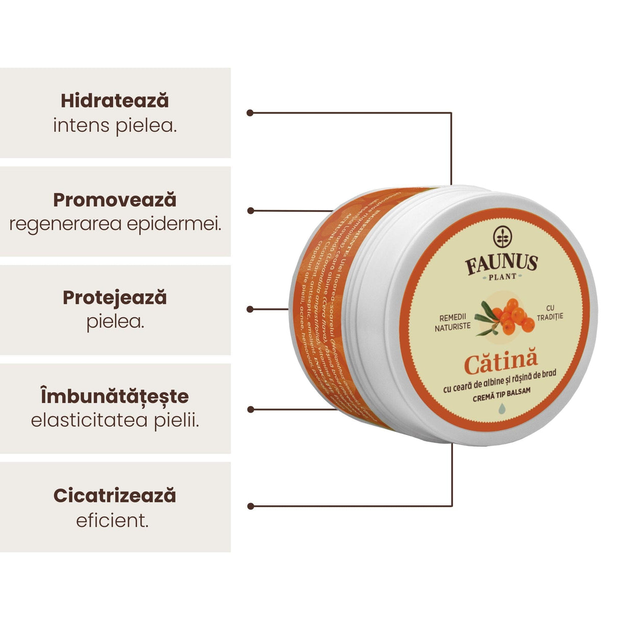 Imagine grafică ce prezintă beneficiile unguentului: hidratează intens pielea, promovează regenerarea epidermei, protejează pielea, îmbunătățește elasticitatea pielii și cicatrizează eficient.