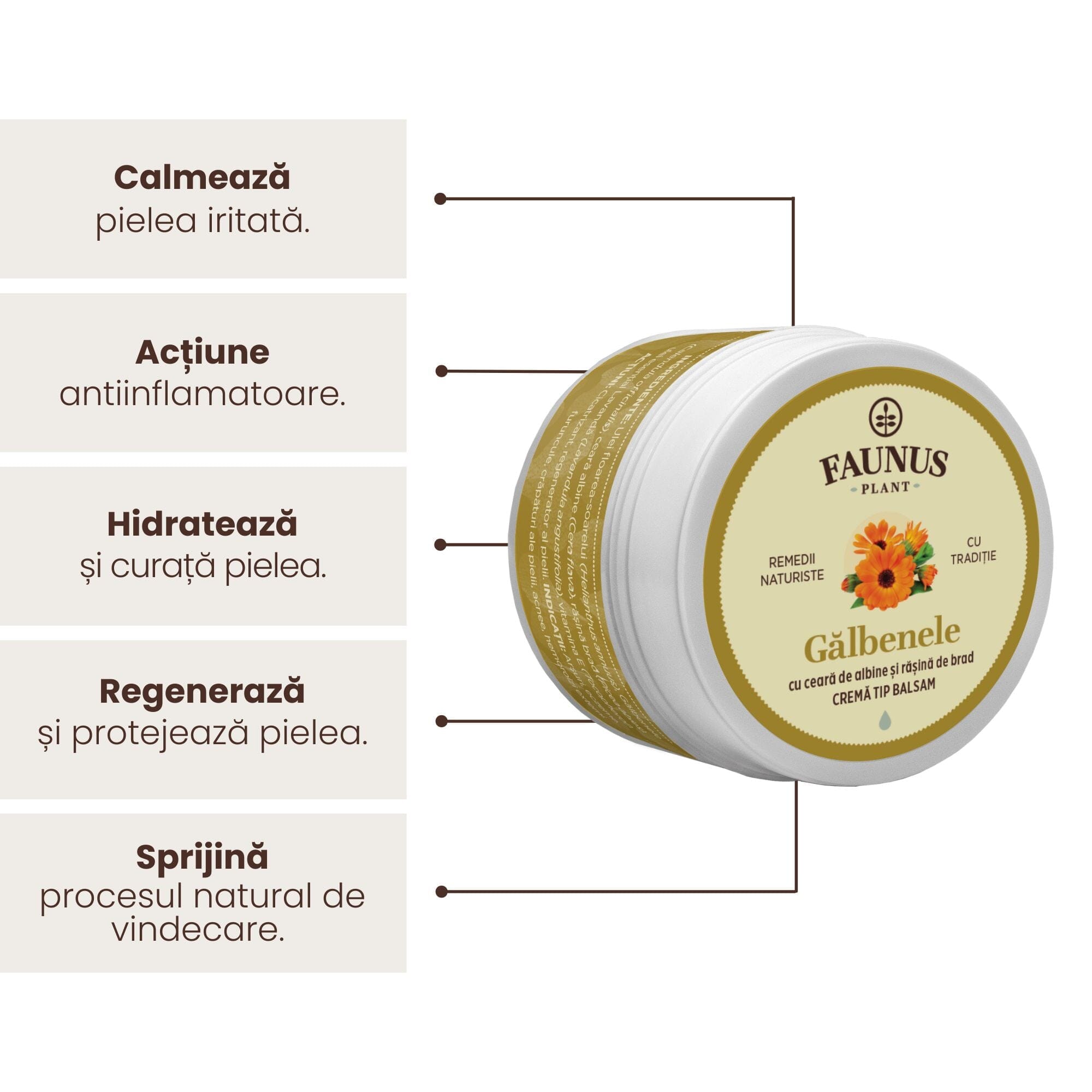 Grafică cu beneficiile unguentului Gălbenele 50 ml de la Faunus Plant: calmează pielea iritată, acțiune antiinflamatoare, hidratează și curăță pielea, regenerează și protejează pielea, sprijină procesul natural de vindecare. Unguent cu formulă naturală.