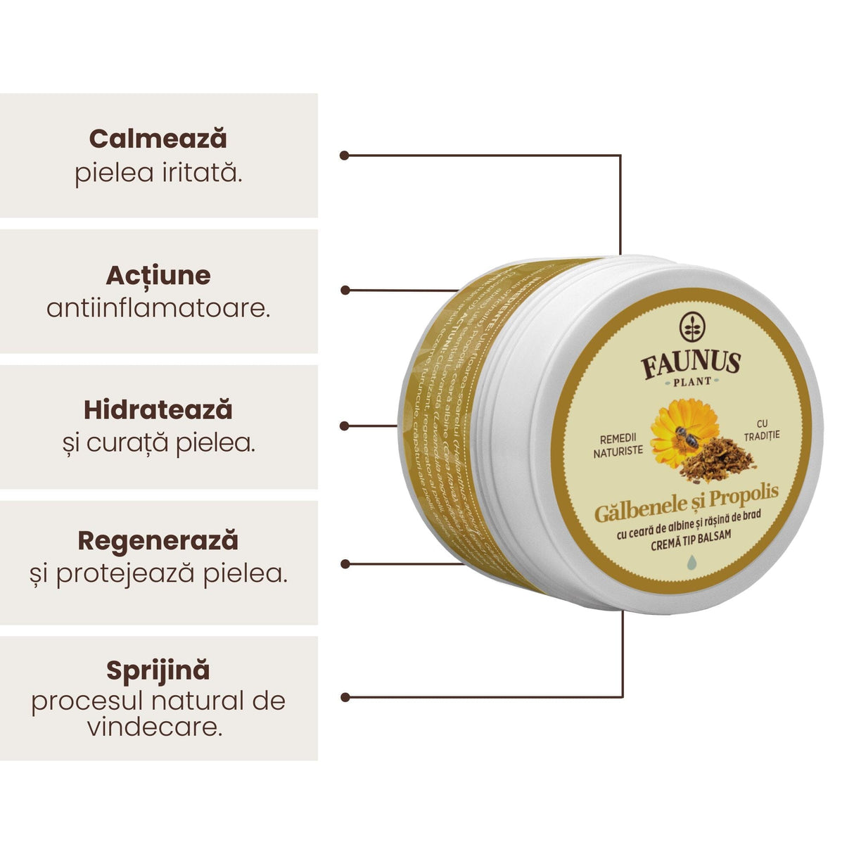 Beneficiile unguentului evidențiate grafic: calmarea pielii iritate, acțiune antiinflamatoare, hidratare și curățare, regenerare, susținerea procesului natural de vindecare.