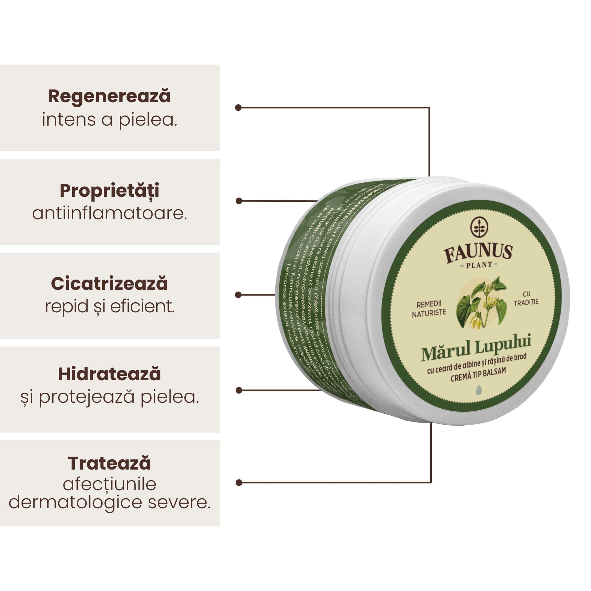 Imagine grafică care evidențiază beneficiile Unguentului Mărul Lupului 50 ml de la Faunus Plant, inclusiv regenerarea intensă a pielii, beneficii antiinflamatoare, cicatrizarea rapidă și eficientă, hidratarea și protejarea pielii, respectiv tratarea afecțiunilor dermatologice severe.