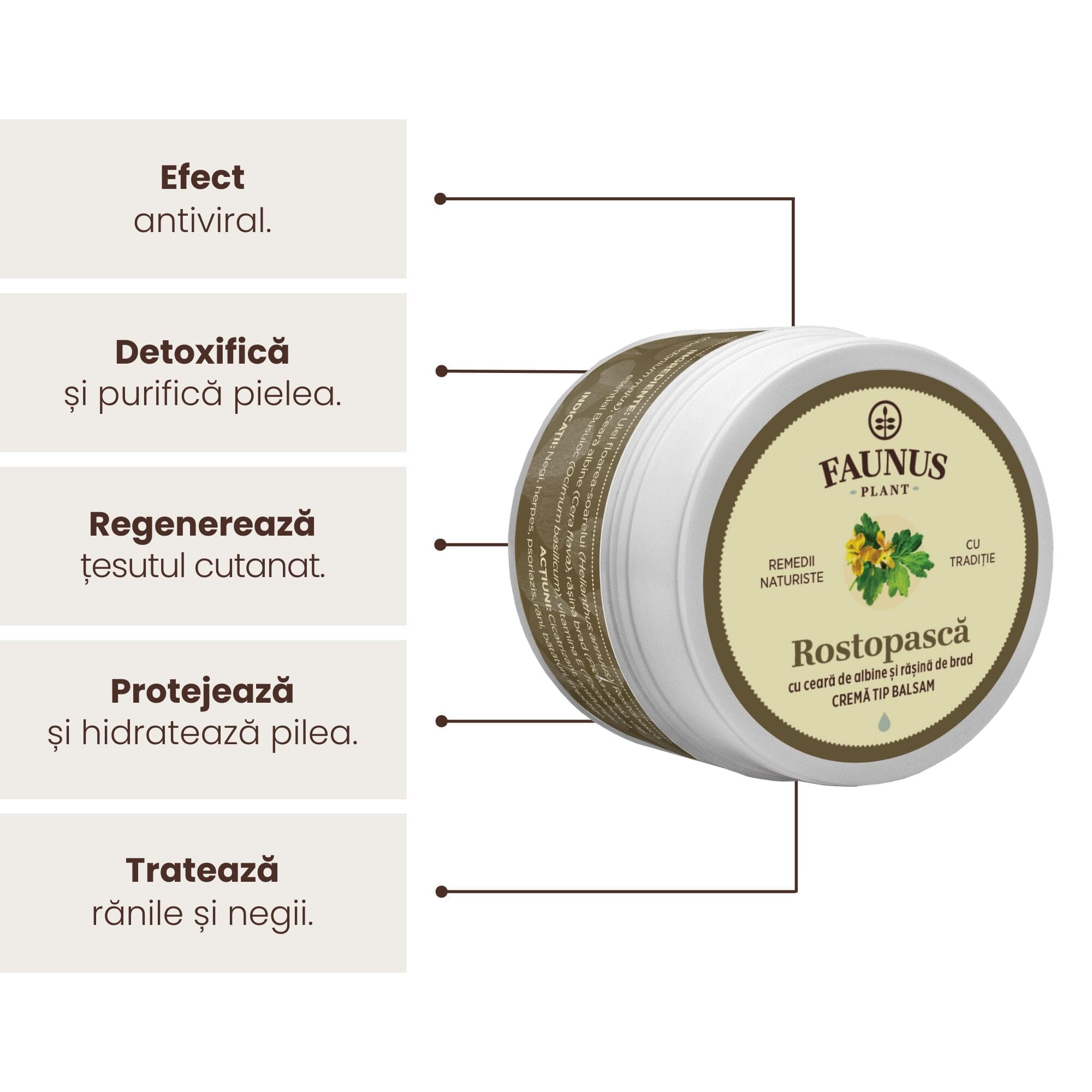 Imagine grafică care evidențiază beneficiile Unguentului Rostopască 50 ml de la Faunus Plant, incluzând efectele antivirale, detoxifierea și purificarea pielii, regenerarea țesutului cutanat, protejarea și hidratarea pielii, dar și tratarea rănilor și a negilor.
