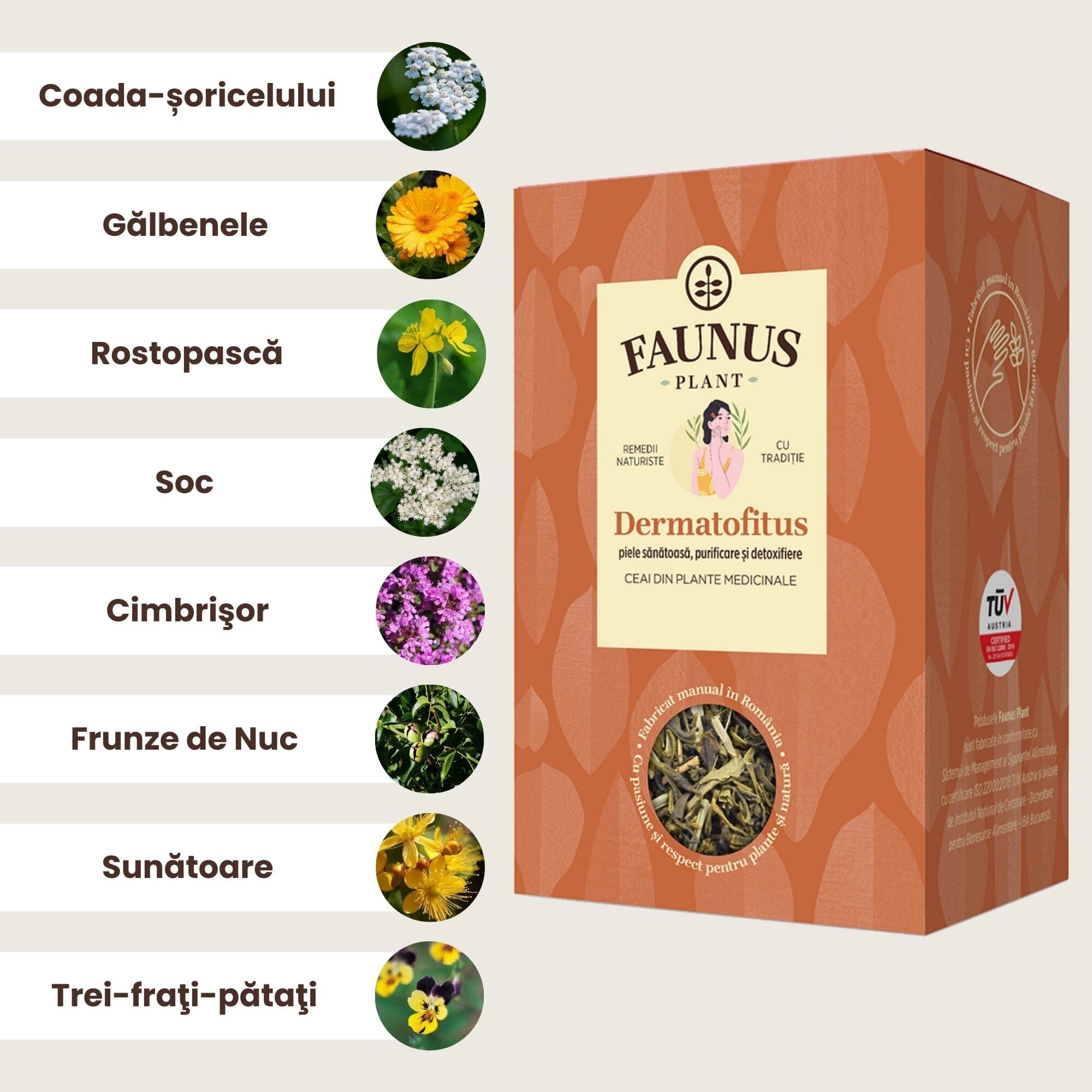 Reprezentare grafică a principalelor ingrediente din ceaiul Dermatofitus de la Faunus Plant: coada-șoricelului, gălbenele, rostopască, soc, cimbrișor, frunze de nuc, sunătoare și trei-frați-pătați. Imaginea include denumirile fiecărui ingredient și ilustrații ale plantelor folosite în compoziția produsului.