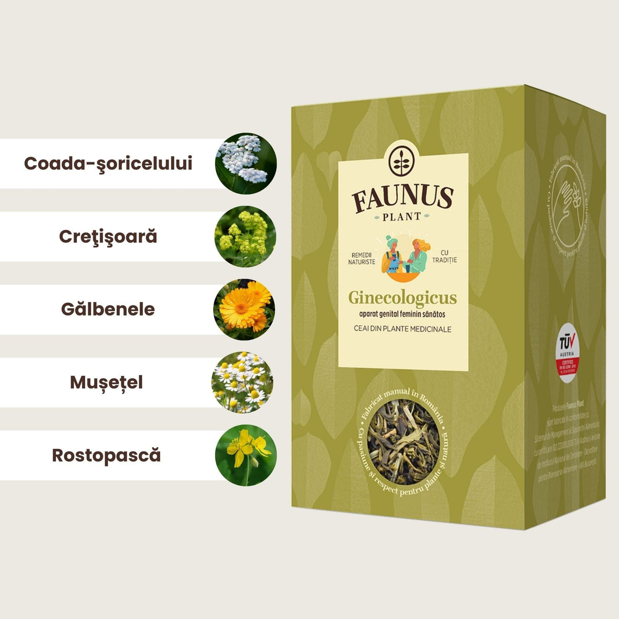 Grafică ingredientele Ceaiului Ginecologicus 90g de la Faunus Plant, prezentând plantele naturale utilizate pentru susținerea sănătății aparatului genital feminin. Ingrediente: Coada-șoricelului, Crețișoară, Gălbenele, Mușețel, Rostopască.