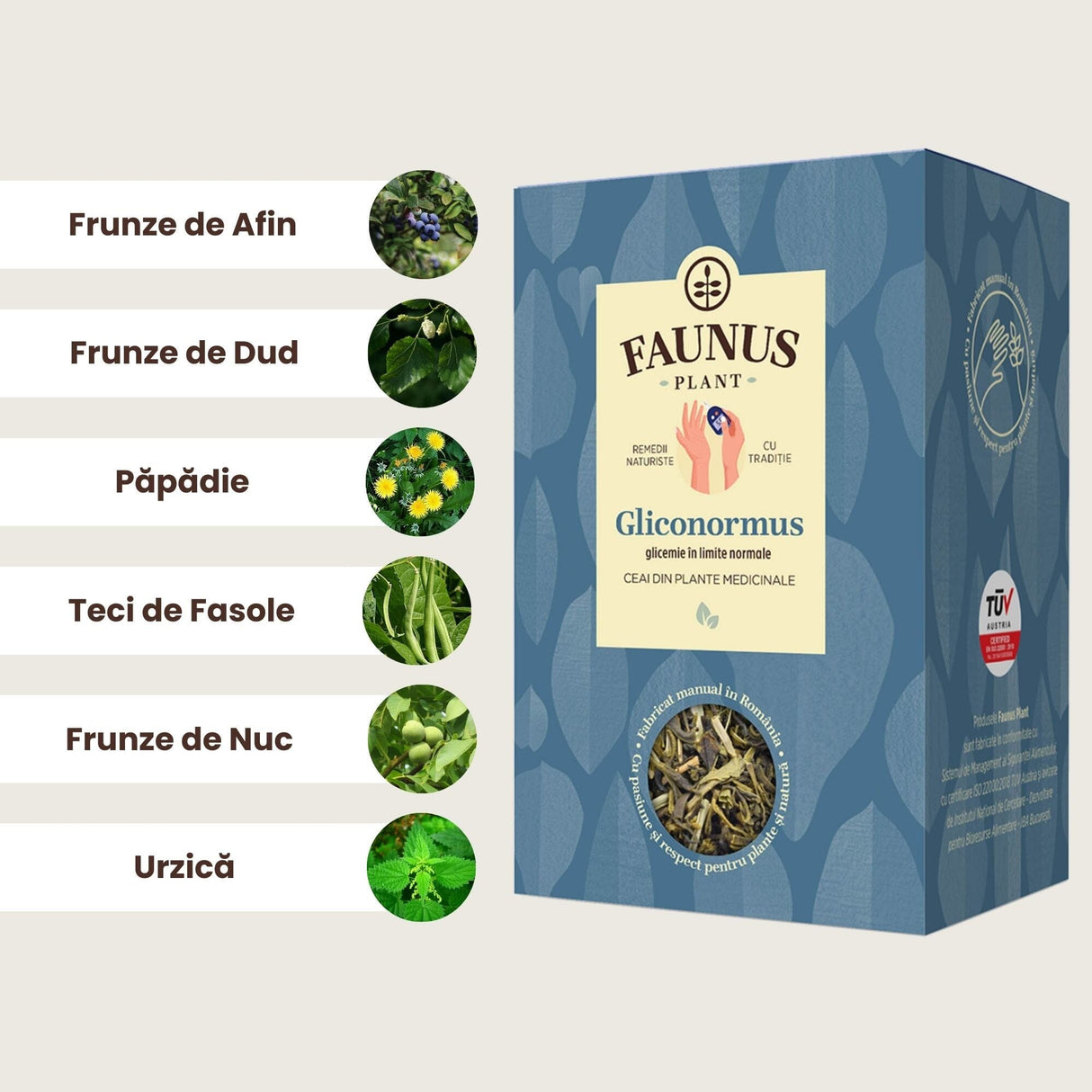 Imagine grafică a Ceaiului Gliconormus 90g de la Faunus Plant, afișând principalele ingrediente însoțite de imagini ale plantelor: frunze de Afin, Dud, Păpădie, teci de Fasole, frunze de Nuc și Urzică.