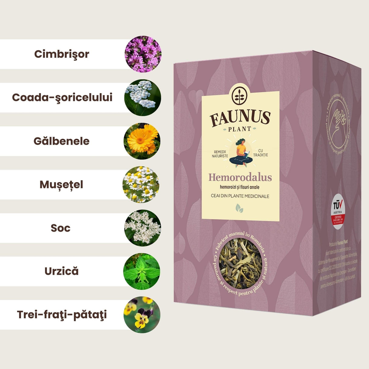 Imagine grafică cu ingredientele principale ale Ceaiului Hemorodalus 90g de la Faunus Plant, incluzând Cimbrișor, Coada-șoricelului, Gălbenele, Mușețel, Soc, Urzică și Trei-frați-pătați, fiecare fiind reprezentat prin imagini distincte ale plantelor.