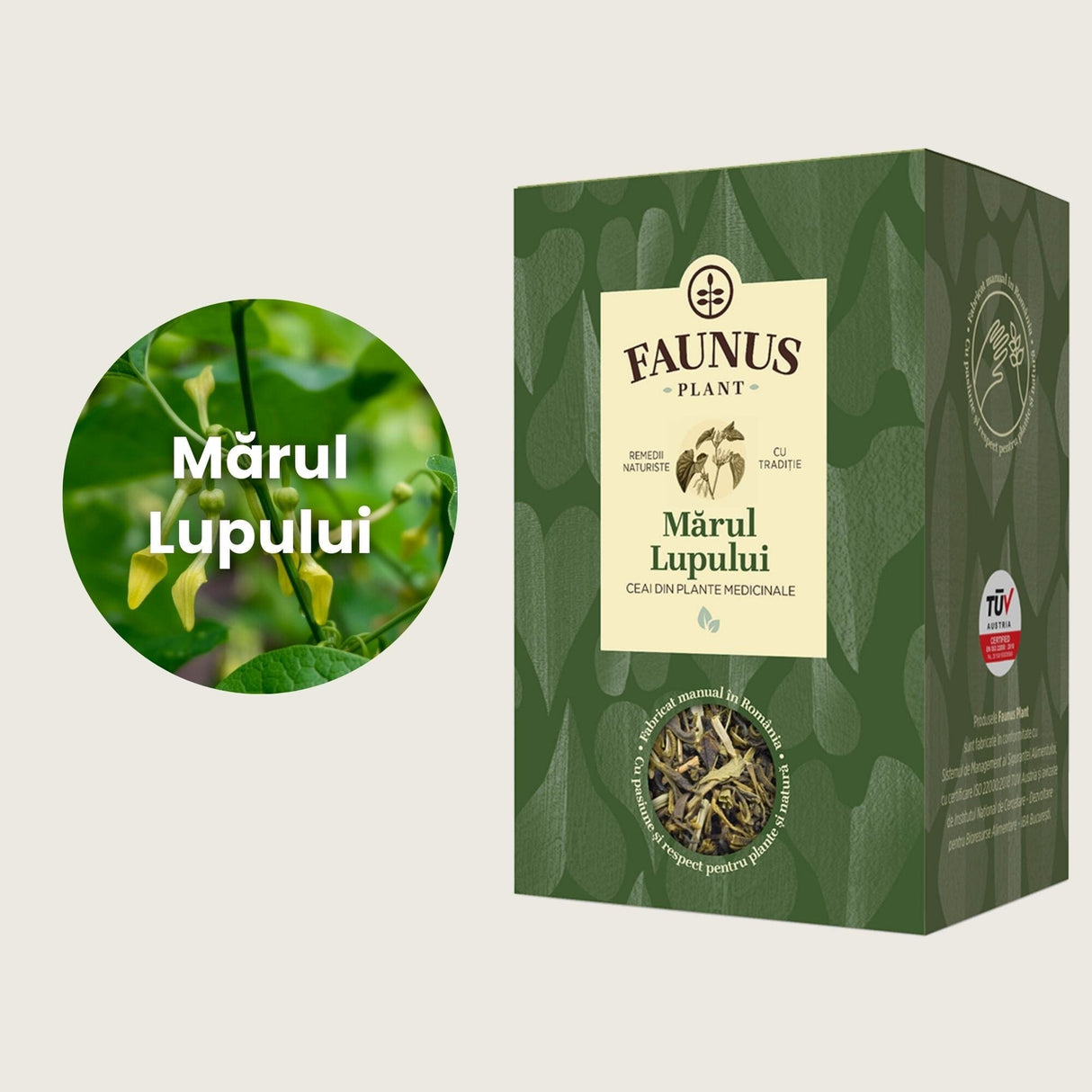 Imagine grafică cu ambalajul ceaiului "Mărul Lupului" și un detaliu al plantei Mărul-lupului. Pe ambalaj este menționată compoziția 100% Mărul-lupului (Aristolochia clematitis).