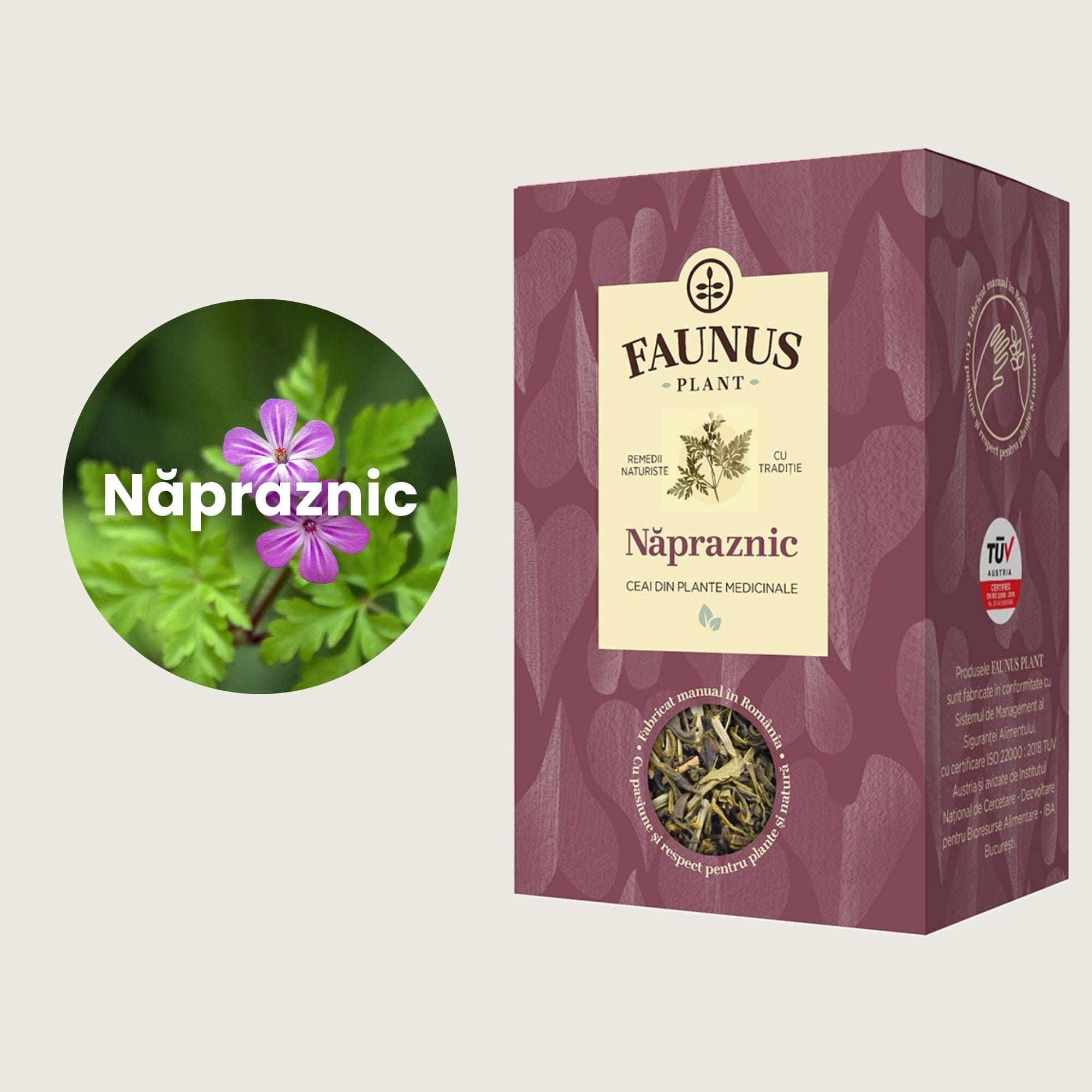 Grafică informativă cu planta Năpraznic, ingredientul principal din ceaiul Năpraznic de la Faunus Plant, utilizată pentru normalizarea activității glandelor sexuale și susținerea sistemului digestiv.