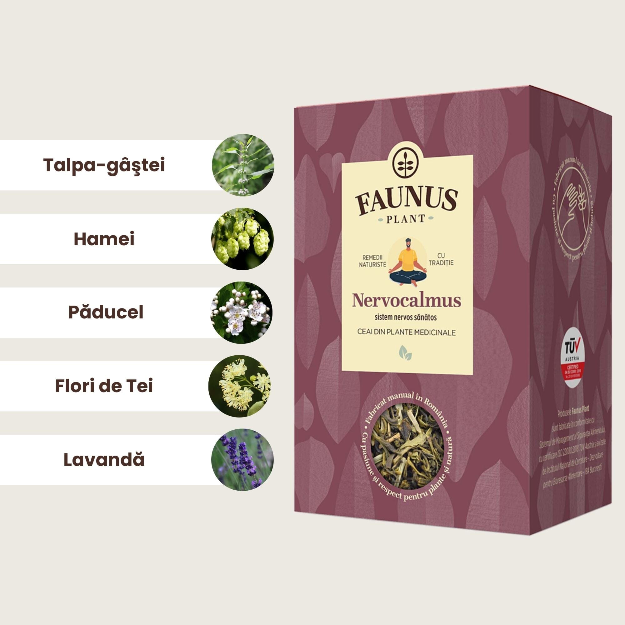 Ilustrație a ingredientelor cheie din Ceaiul Nervocalmus de la Faunus Plant - Talpa-gâștei, Hamei, Păducel, Flori de Tei, Lavandă, fiecare ingredient reprezentat vizual pentru a oferi o imagine clară a compoziției.