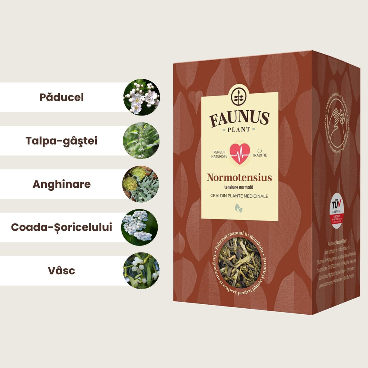 Imagine grafică cu lista ingredientelor principale ale ceaiului "Normotensius": Păducel, Talpa-gâștei, Anghinare, Coada-șoricelului și Vâsc, fiecare reprezentat printr-o ilustrație a plantei respective.