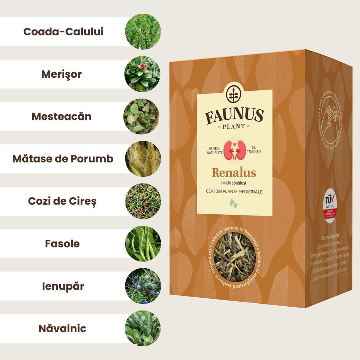 Imagine grafică ce prezintă ingredientele Ceaiului Renalus 90g de la Faunus Plant, fiecare ingredient fiind însoțit de o ilustrație: Coada-calului (15%), Merișor (15%), Mesteacăn (15%), Mătase de porumb (15%), Cozi de cireș (10%), Fasole (10%), Ienupăr (10%) și Năvalnic (10%).