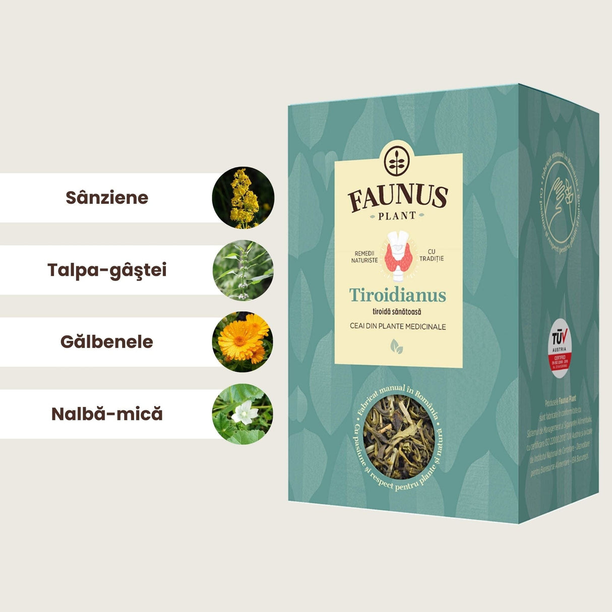 Grafica ce prezintă ingredientele principale ale Ceaiului Tiroidianus 90g: Sânziene (Galium verum) părți aeriene (50%), Talpa-gâștei (Leonurus cardiaca) părți aeriene (20%), Gălbenele (Calendula officinalis) flori (15%), Nalbă-mică (Malva pusilla) frunze (15%).