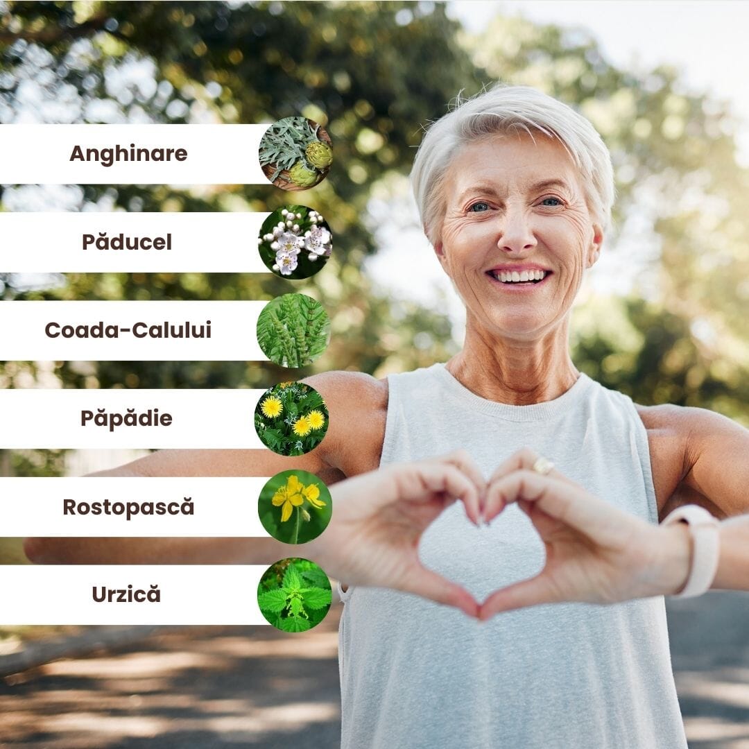 Ilustrație cu ingrediente naturale din pachetul Colesterolus de la Faunus Plant, incluzând anghinare, păducel, coada-calului, păpădie, rostopască și urzică, alături de imaginea unei femei fericite.