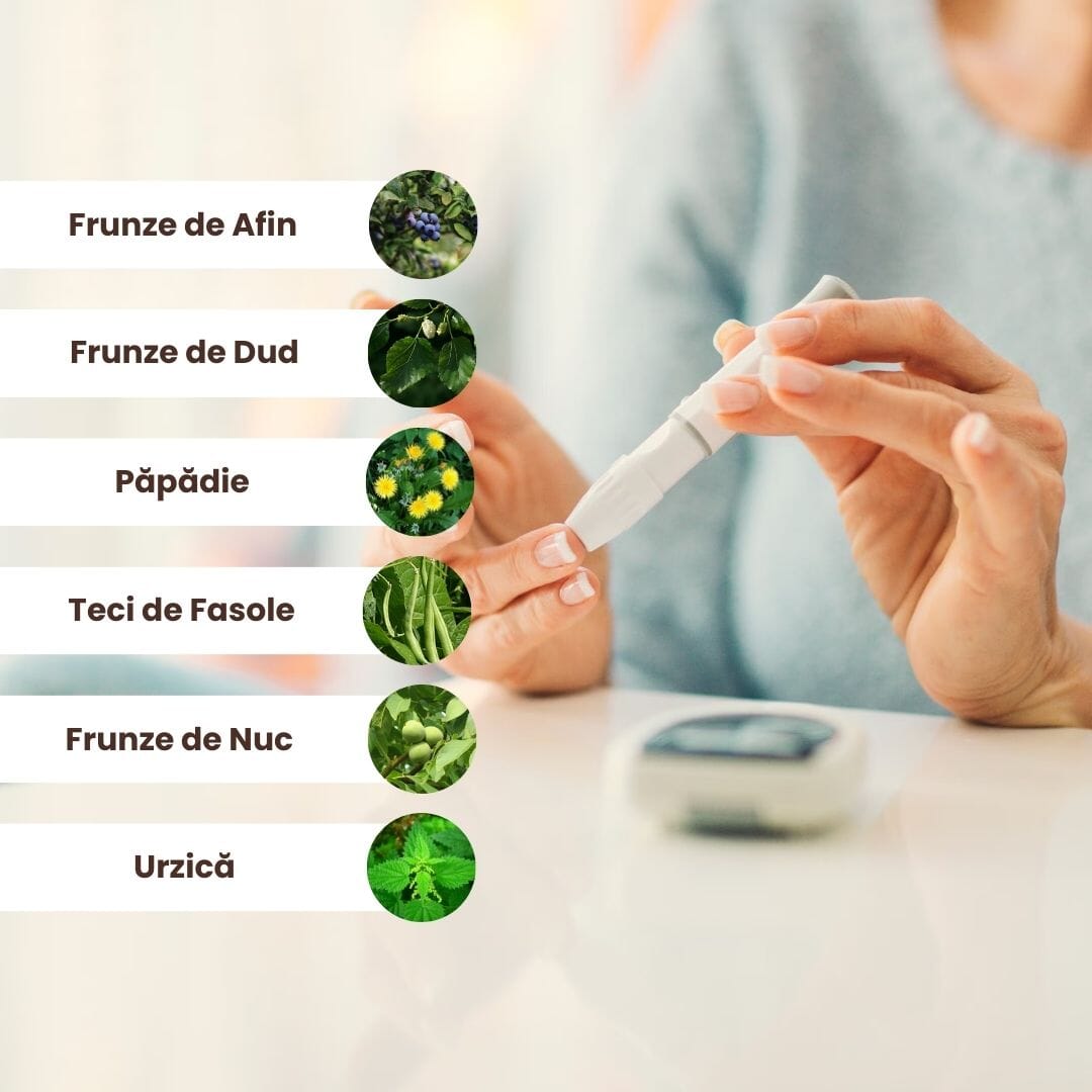 Colaj cu ingrediente naturale utilizate în pachetul Gliconormus de la Faunus Plant: frunze de afin, frunze de dud, păpădie, teci de fasole, frunze de nuc și urzică, alături de imagini ilustrative ale acestora.