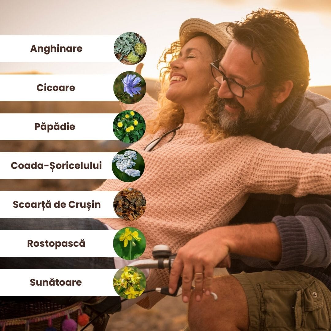 Listă grafică cu principalele ingrediente ale Pachetului Ficat Sănătos de la Faunus Plant: anghinare, cicoare, păpădie, coada-șoricelului, scoarță de crușin, rostopască și sunătoare, pe fundal ilustrativ cu un cuplu fericit.