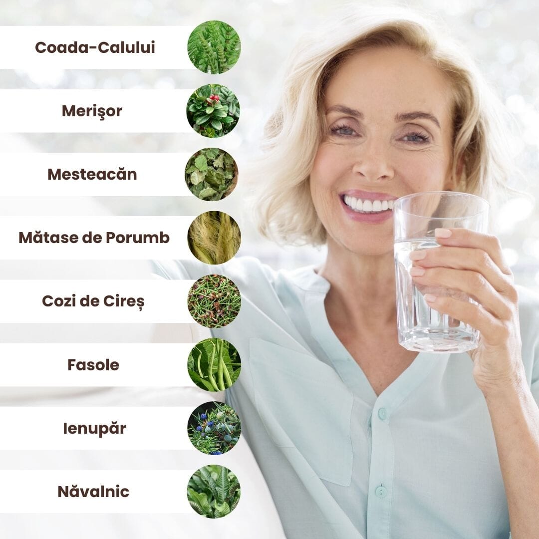 Colaj grafic cu ingrediente din pachetul Renalus de la Faunus Plant, incluzând coada-calului, merișor, mesteacăn, mătase de porumb, cozi de cireș, fasole, ienupăr și năvalnic, alături de o imagine a unei femei care ține un pahar de apă, simbolizând hidratarea.