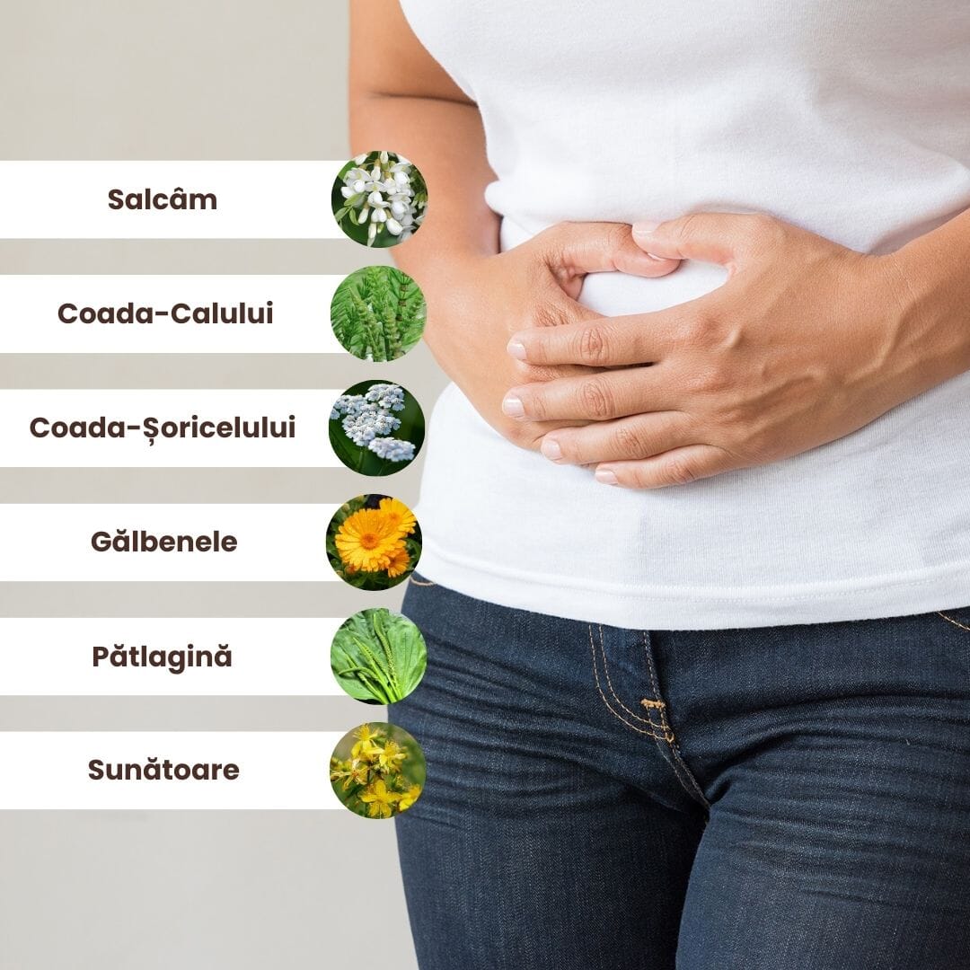 Colaj grafic ce evidențiază ingredientele naturale din Pachetul Stomac Sǎnǎtos - Afecțiuni Gastro-Intestinale de la Faunus Plant: salcâm, coada-calului, coada-șoricelului, gălbenele, pătlagină și sunătoare, alături de imaginea unei persoane ținându-se de stomac.
