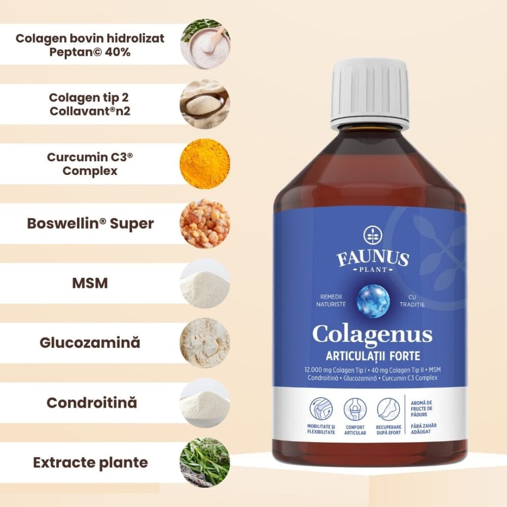 Colagenus Articulații Forte - Colagen lichid concentrat, 12.000mg colagen tip 1 și 40mg colagen tip 2. Flacon 500ml. Susține sănătatea articulațiilor, reducerea inflamațiilor și durerii reumatice, refacerea mușchilor și ligamentelor Supliment alimentar Faunus Plant