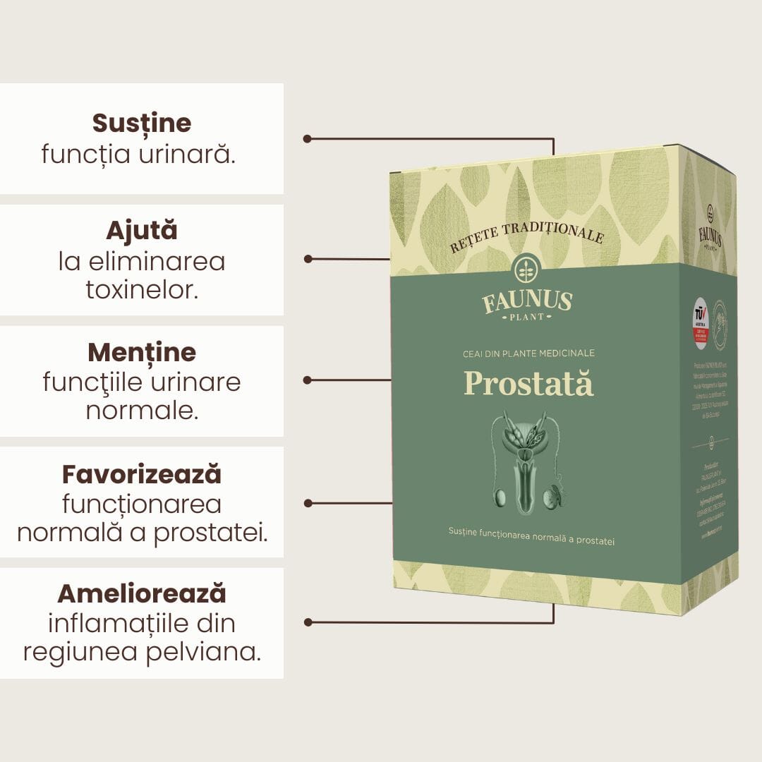 Imagine grafică ce prezintă principalele beneficii ale Ceaiului Prostată de la Faunus Plant: susține funcția urinară, ajută la eliminarea toxinelor, menține funcțiile urinare normale, favorizează funcționarea prostatei și ameliorează inflamațiile din regiunea pelviană.