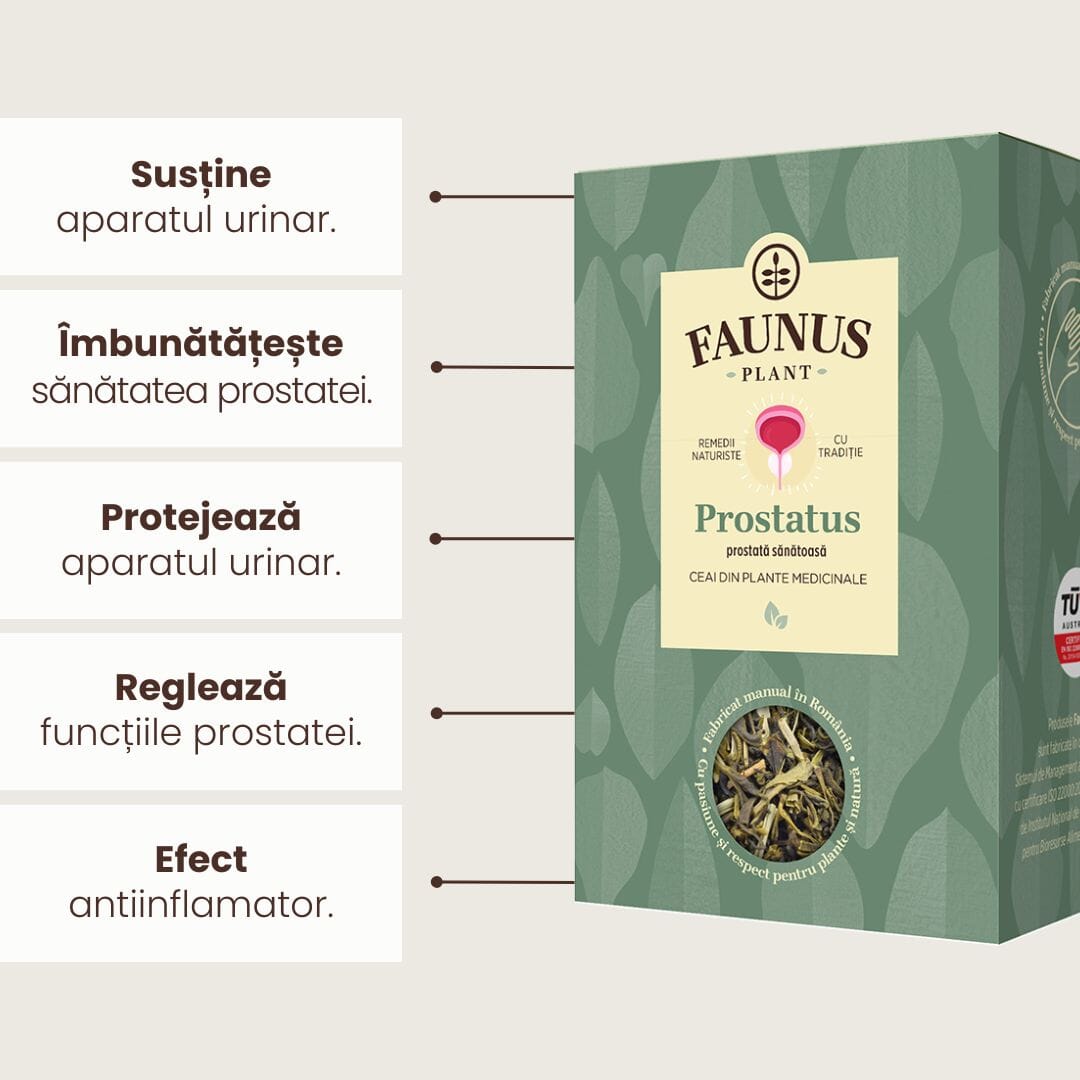 Grafica Beneficii Ceai Prostatus 90g de la Faunus Plant. Ilustrația subliniază beneficiile Ceaiului Prostatus de la Faunus Plant: susține aparatul urinar, îmbunătățește sănătatea prostatei, protejează aparatul urinar, reglează funcțiile prostatei și oferă un efect antiinflamator.