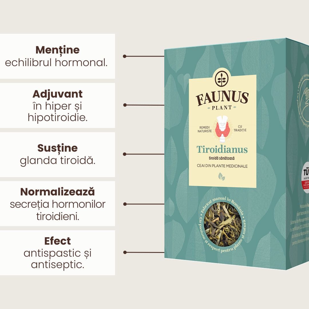Beneficiile Ceaiului Tiroidianus 90g de la Faunus Plant evidențiate grafic: menține echilibrul hormonal, este adjuvant în hiper și hipotiroidie, susține glanda tiroidă, normalizează secreția hormonilor tiroidieni și oferă efect antispastic și antiseptic.