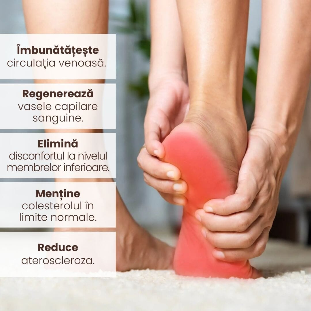 Grafică informativă prezentând beneficiile pachetului Colesterolus de la Faunus Plant: îmbunătățirea circulației venoase, regenerarea vaselor capilare sanguine, eliminarea disconfortului la nivelul membrelor inferioare, menținerea colesterolului în limite normale și reducerea aterosclerozei.