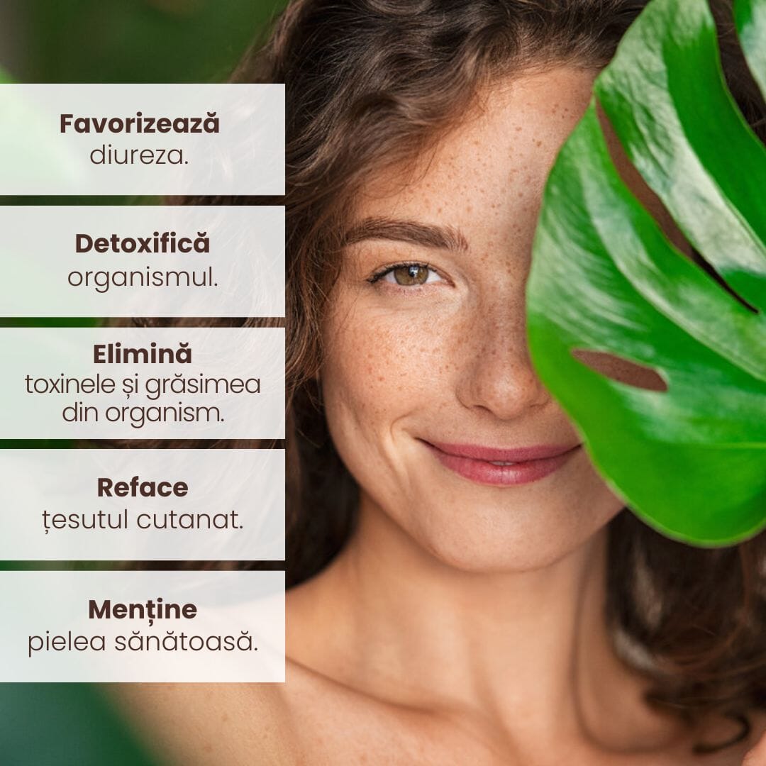 Grafică subliniind beneficiile pachetului Detoxifiere de la Faunus Plant, cum ar fi detoxifierea organismului, eliminarea toxinelor, refacerea țesutului cutanat și menținerea sănătății pielii. Imaginea centrală prezintă o femeie cu un zâmbet natural și piele sănătoasă.