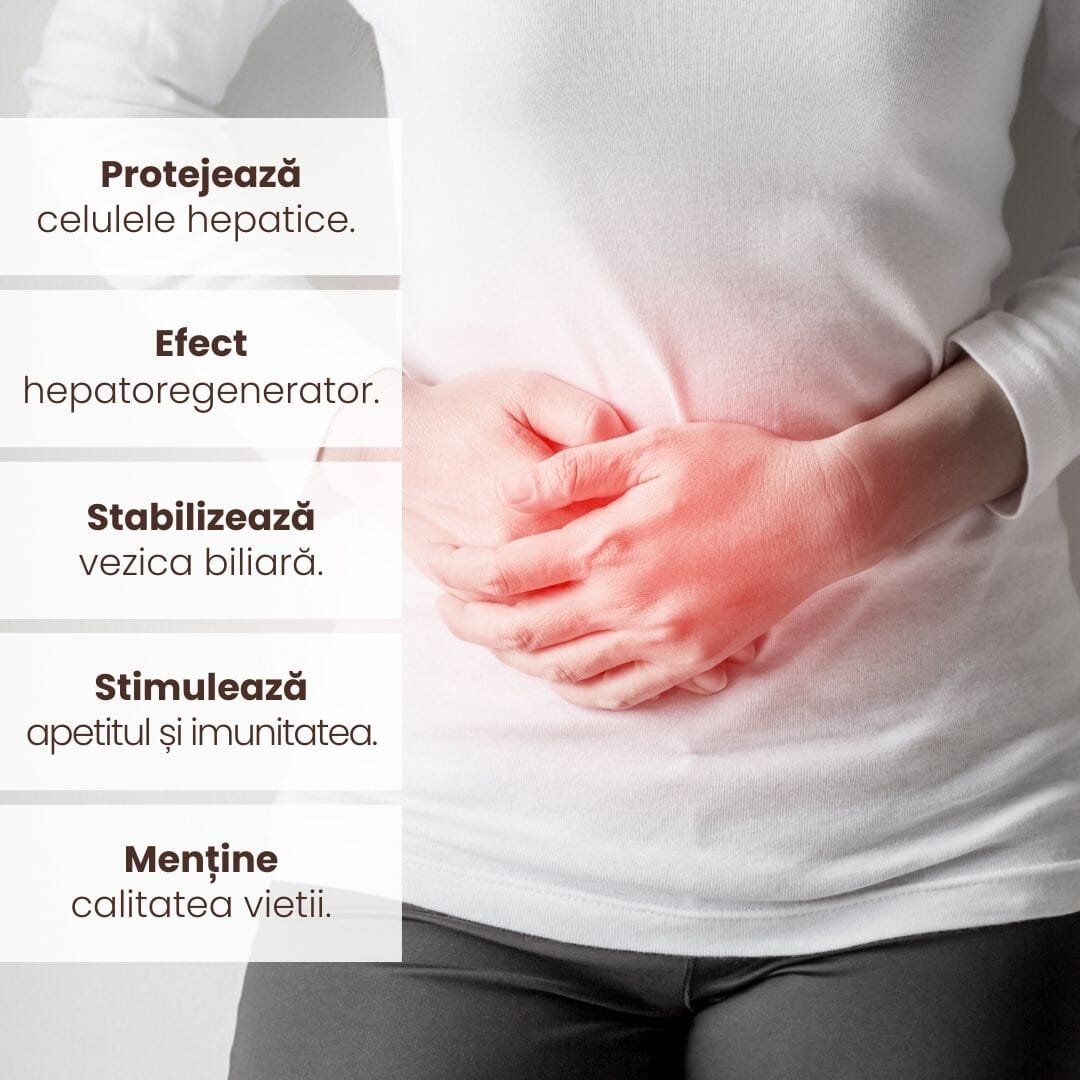 Grafică ce prezintă beneficiile Pachetului Ficat Sănătos de la Faunus Plant, inclusiv: protecția celulelor hepatice, efect hepatoregenerator, stabilizarea vezicii biliare, stimularea apetitului și a imunității, menținerea calității vieții, cu imaginea unei persoane ce protejează zona abdominală.