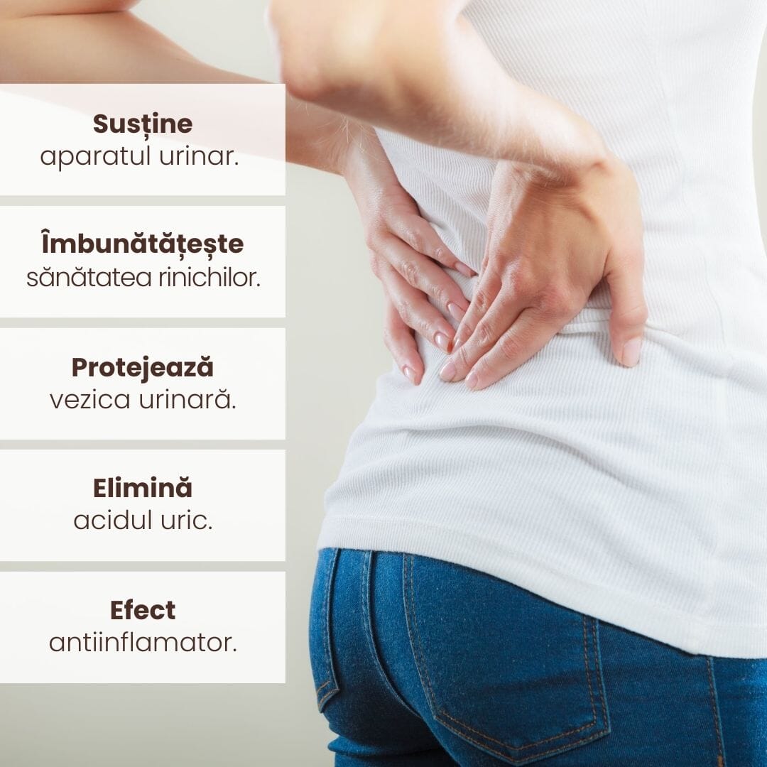 Imagine informativă cu text care evidențiază beneficiile pachetului Renalus de la Faunus Plant: susține aparatul urinar, îmbunătățește sănătatea rinichilor, protejează vezica urinară, elimină acidul uric și are efect antiinflamator. Fundal cu o persoană care își masează zona lombară.