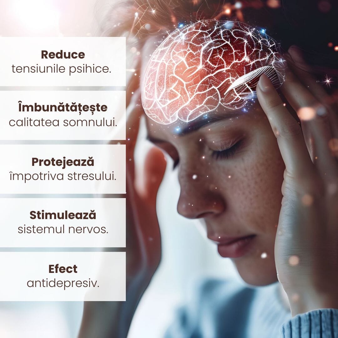 Imagine care listează beneficiile Pachetului Sistem Nervos Sănătos de la Faunus Plant, cum ar fi reducerea tensiunilor psihice, îmbunătățirea calității somnului, protecția împotriva stresului, stimularea sistemului nervos și efectele antidepresive, acompaniată de un fundal tematic reprezentând sănătatea mentală.