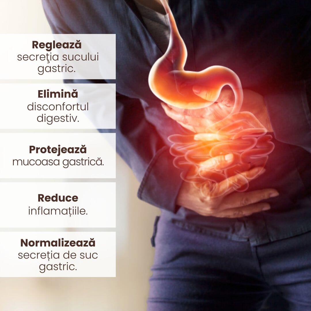 Beneficiile produsului Stomac Sǎnǎtos - Afecțiuni Gastro-Intestinale de la Faunus Plant subliniate grafic: reglează secreția sucului gastric, elimină disconfortul digestiv, protejează mucoasa gastrică, reduce inflamațiile și normalizează secreția de suc gastric.