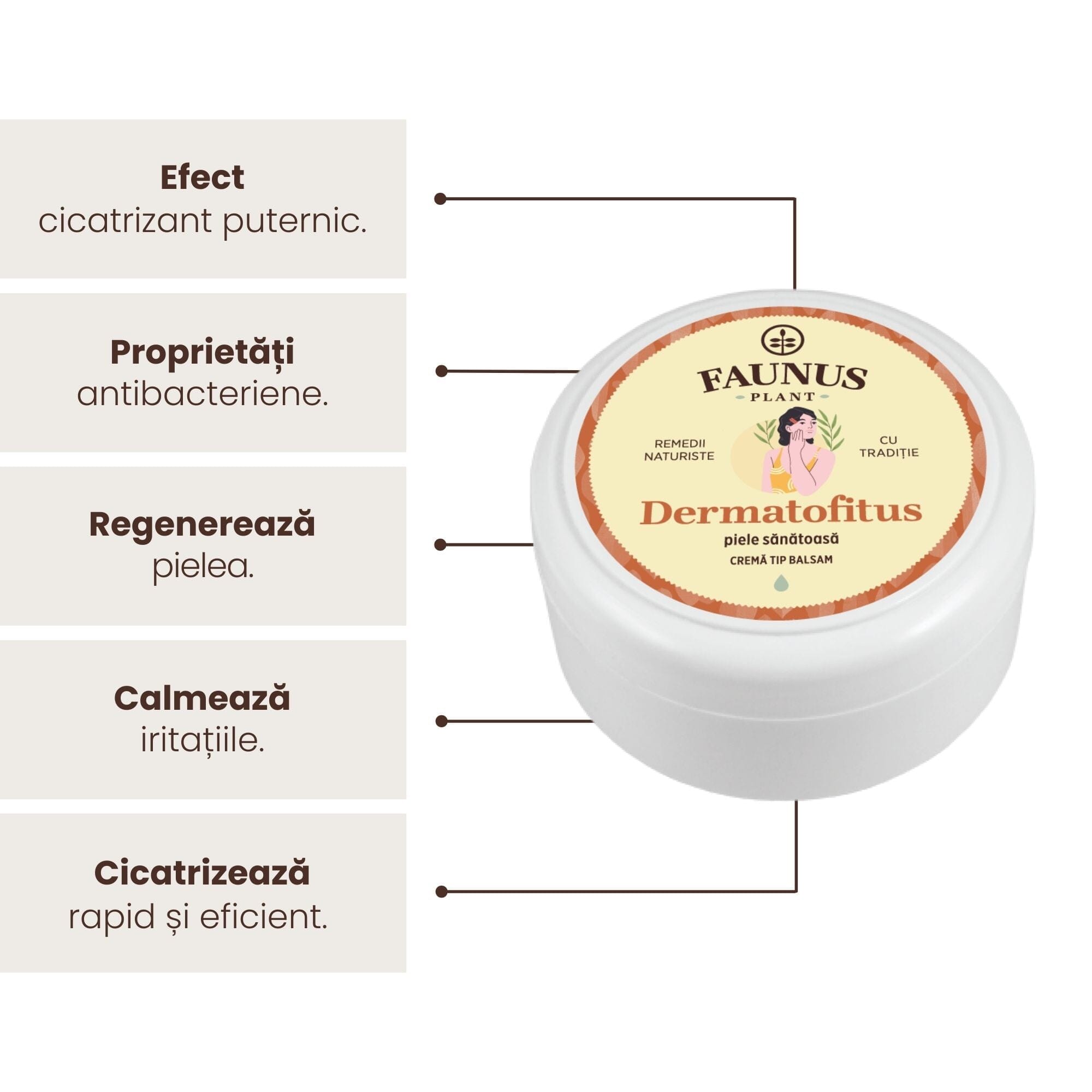 Grafică cu beneficii pentru Unguent Dermatofitus 100ml de la Faunus Plant: efect cicatrizant puternic, proprietăți antibacteriene, regenerarea pielii, calmarea iritațiilor și cicatrizare rapidă.