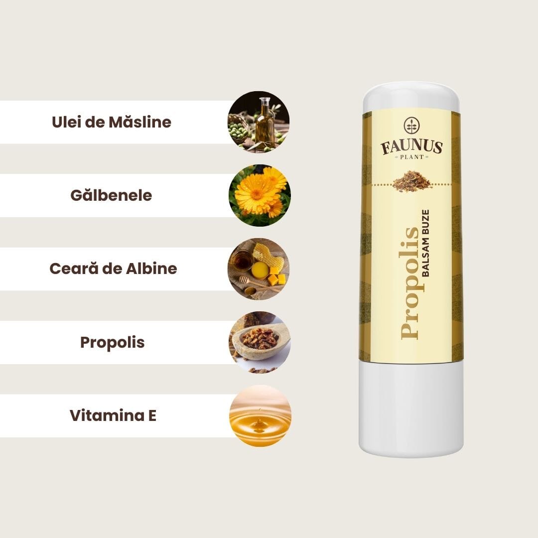Imagini cu ingredientele principale ale Baslamului de Buze cu Propolis,și anume ulei de măsline, gălbenele, ceară de albine, ulei esențial de propolis și vitamina E, toate așezate în ordinea descrisă, în chenar maro deschis, având în partea dreaptă produsul.
