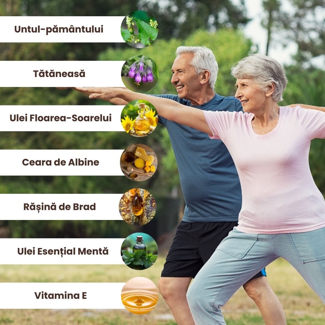 Colaj cu imagini reprezentând ingredientele din pachetul Reumaticus de la Faunus Plant: untul-pământului, tătăneasă, ulei de floarea-soarelui, ceară de albine, rășină de brad, ulei esențial de mentă și vitamina E, pe un fundal ce sugerează sănătatea și mobilitatea.